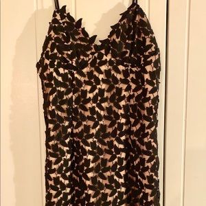 Bardot lace eyelit dress